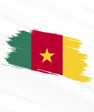 Countries supported